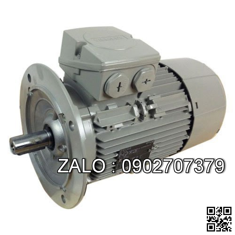 Motor điện 3GBP 161 410-ADG