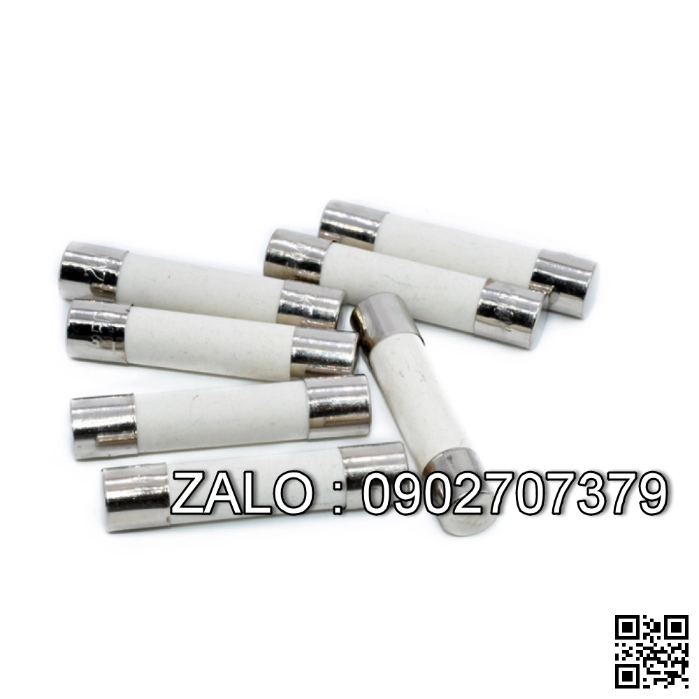 Cầu chì sứ 16A