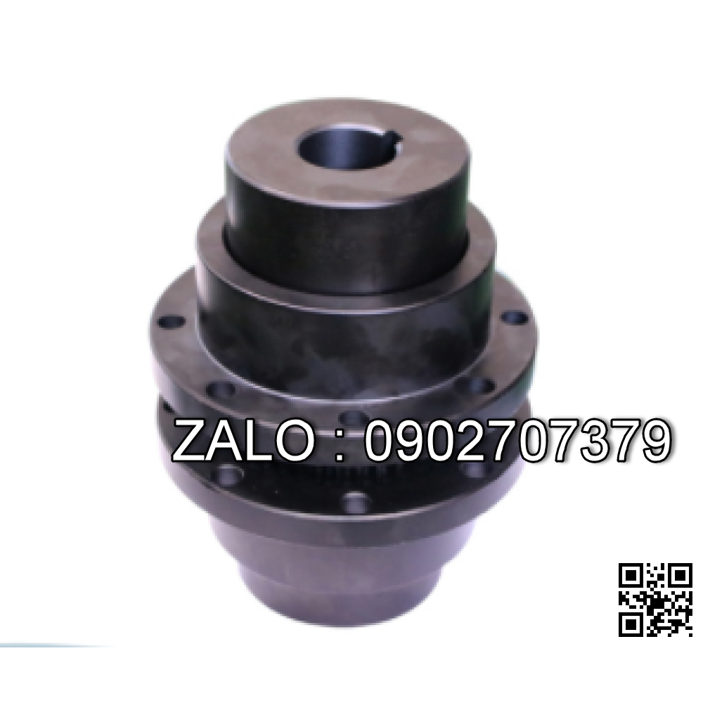 Khớp nối răng GIICL 4