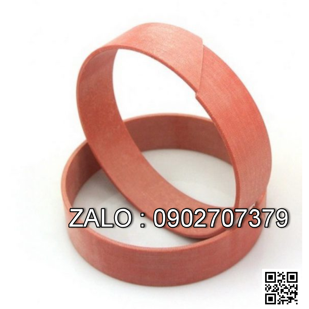 Bạc dẫn hướng Piston WR (guide ring, wear ring)