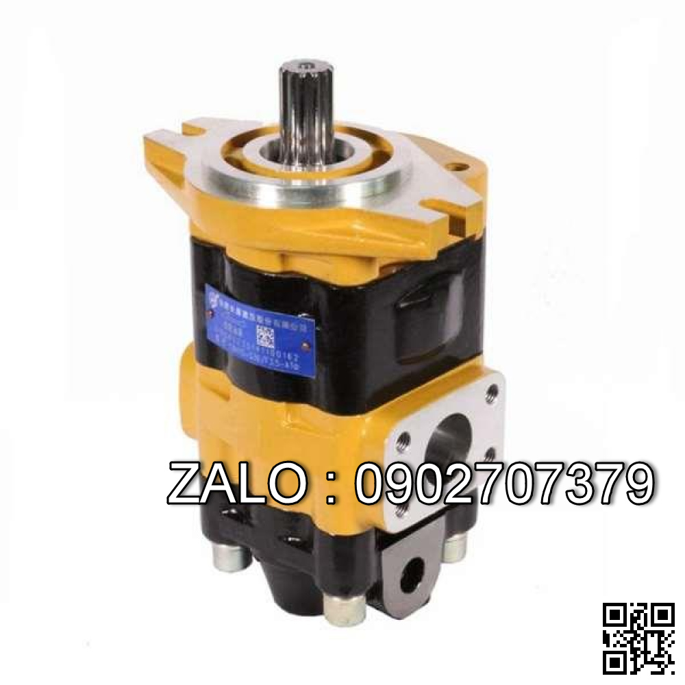 Bơm thủy lực bánh răng CBHC-F20-ALHR