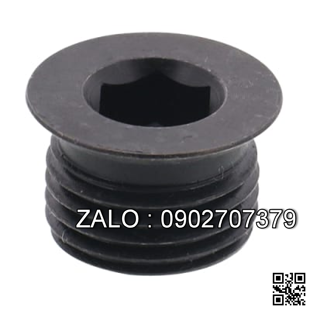 Screw Plugs Type Washer Face M16 MSWZH16