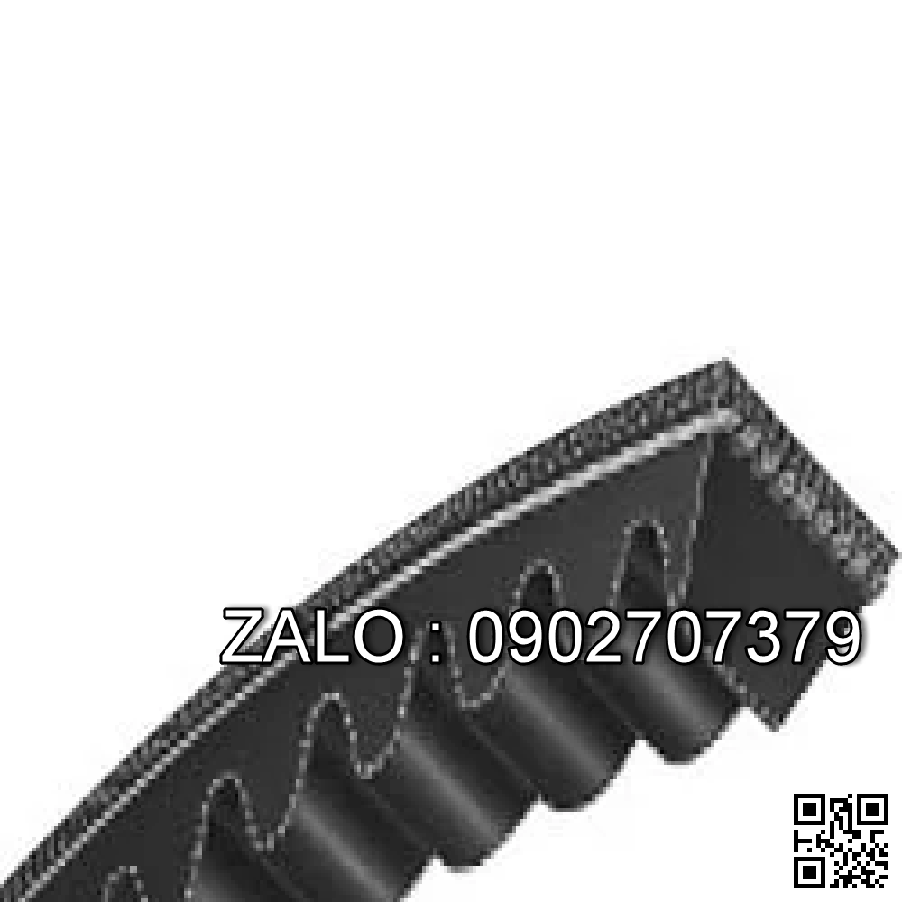 Dây curoa Steigentech  C-55  22x1400mm