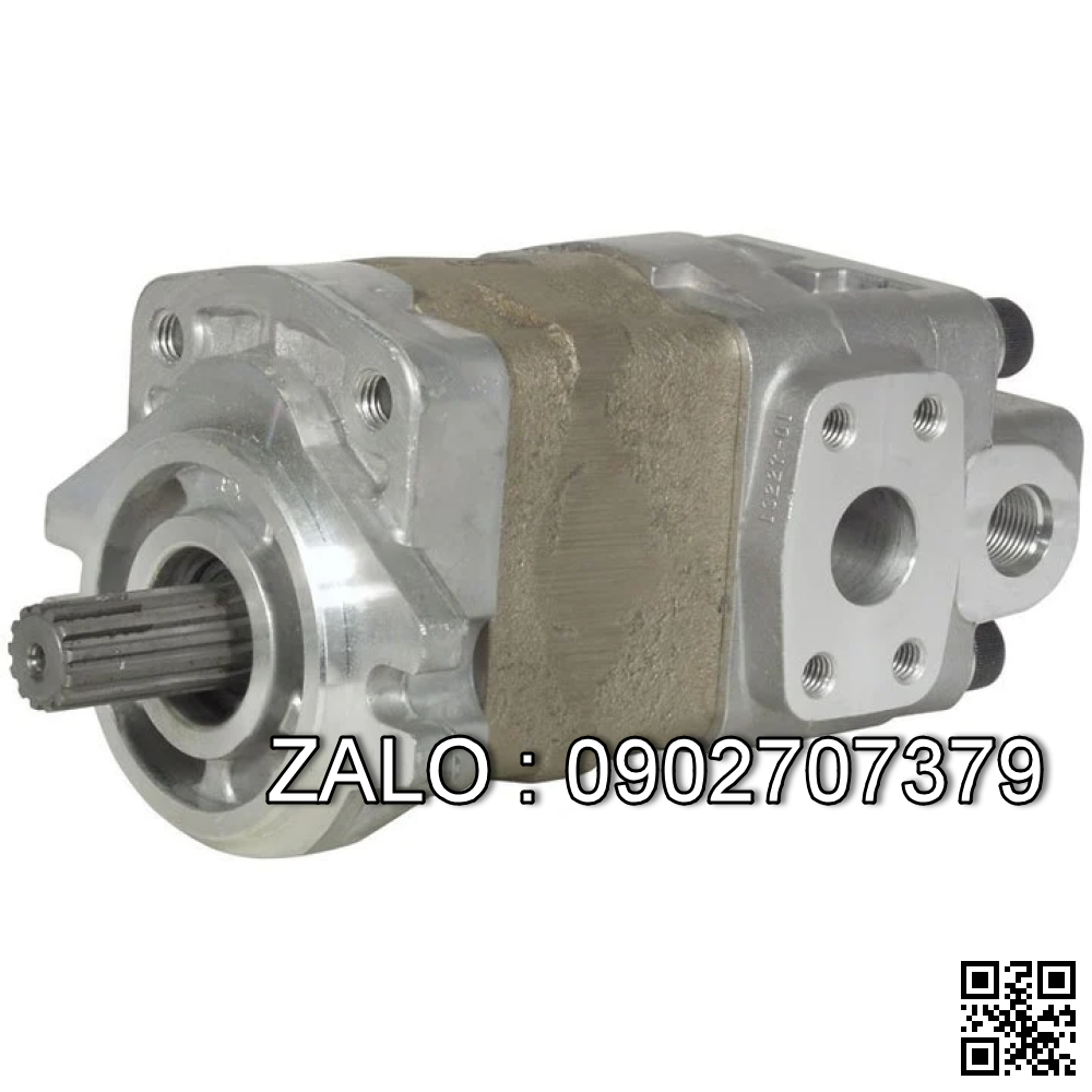 Bơm thủy lực Hydraulic DGP4-30ASCDB6