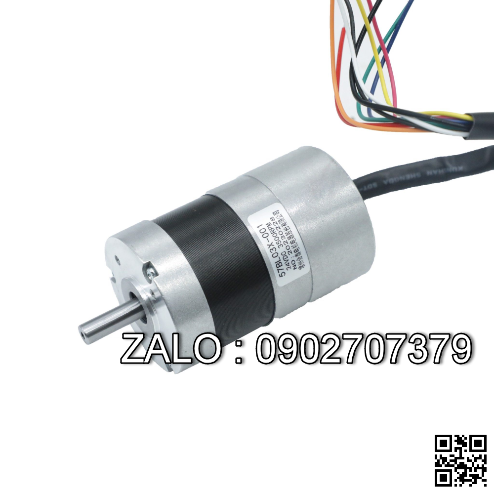 Motor Hangcha HC CBD15-AMC1