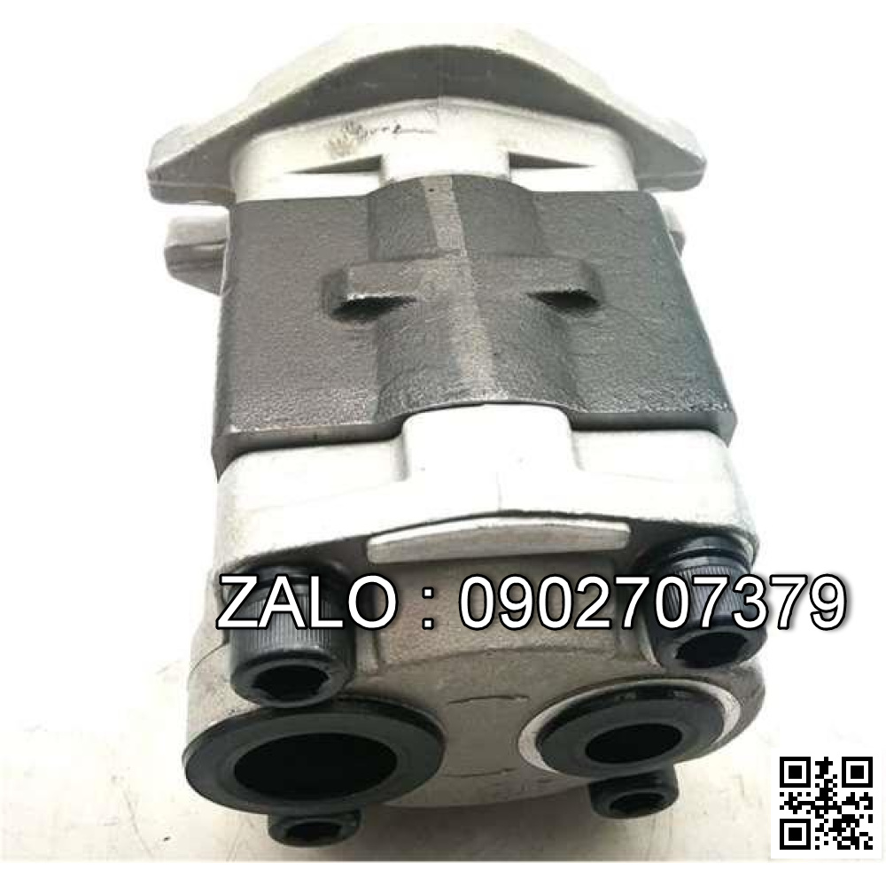 Bơm thủy lực 13T 2 lỗ đui V3300 TCM 139A7-10101