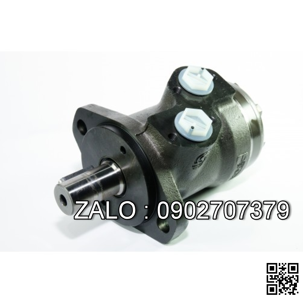 Motor thuỷ lực dùng cho trục căng 1