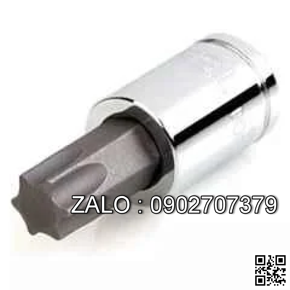 Đầu tuýp mũi hoa thị(torx) TOPTUL 1/2