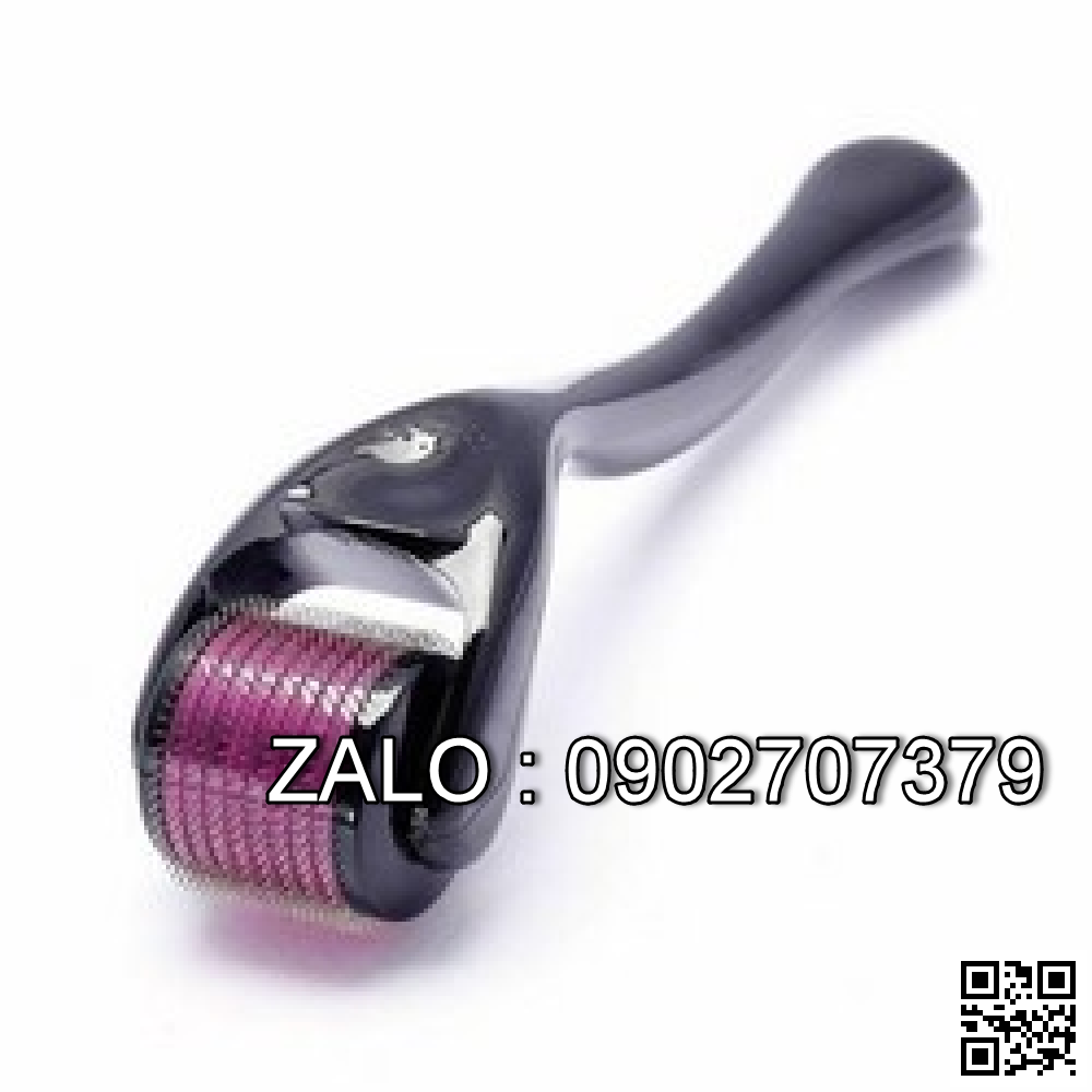 Cây Lăn Đầu Kim Trị Mụn Sẹo, Rổ