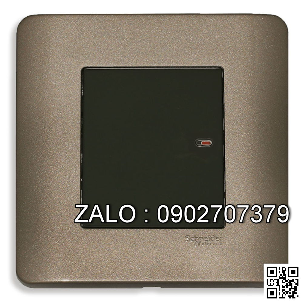 Công tắc 2 cực Clipsal / Schneider E8431D20_G19