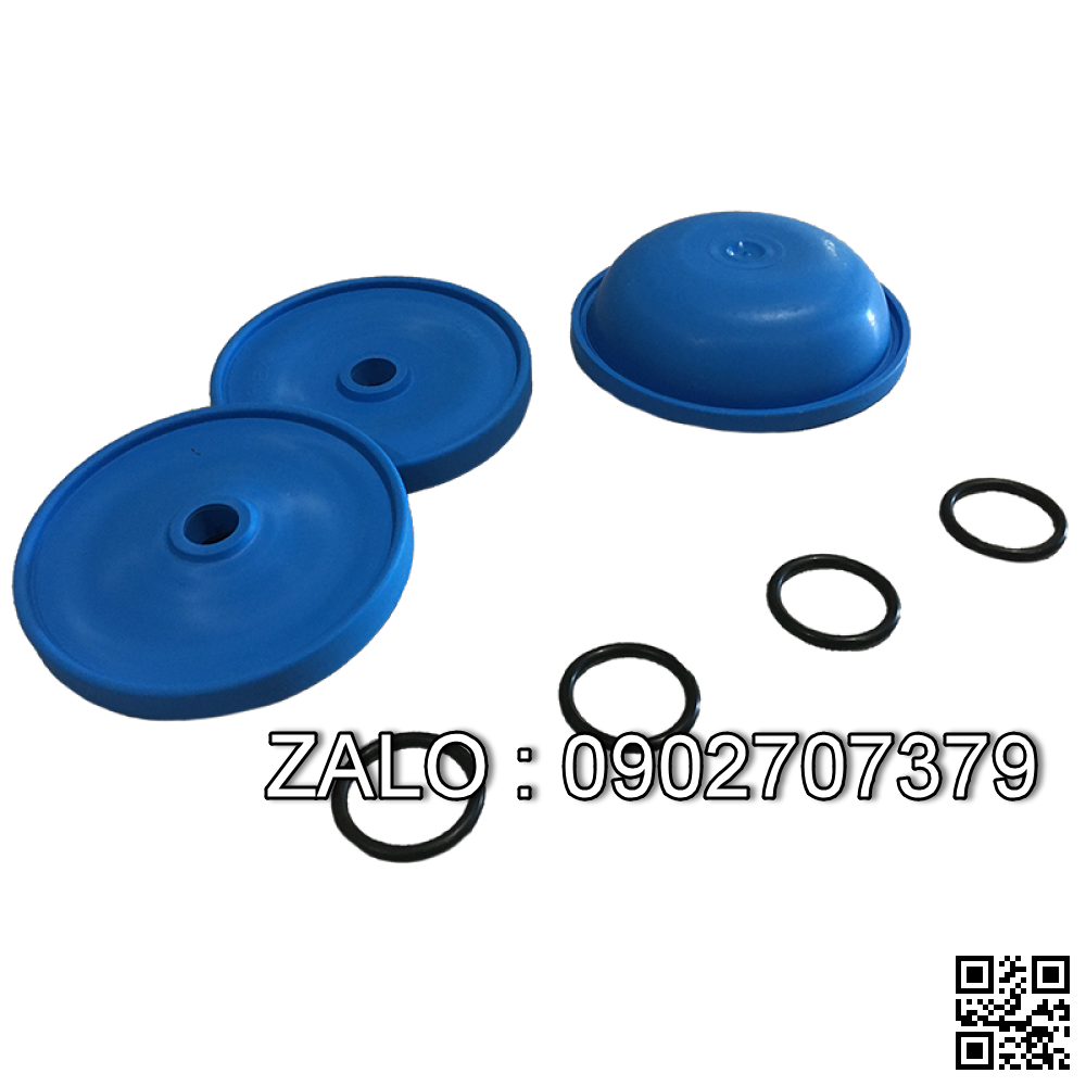 MÀNG BƠM TEFLON(PTFE)