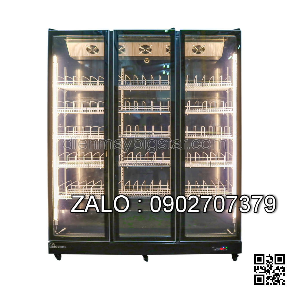 Tủ lạnh 1 cửa kính có quạt mát luxury R299-3