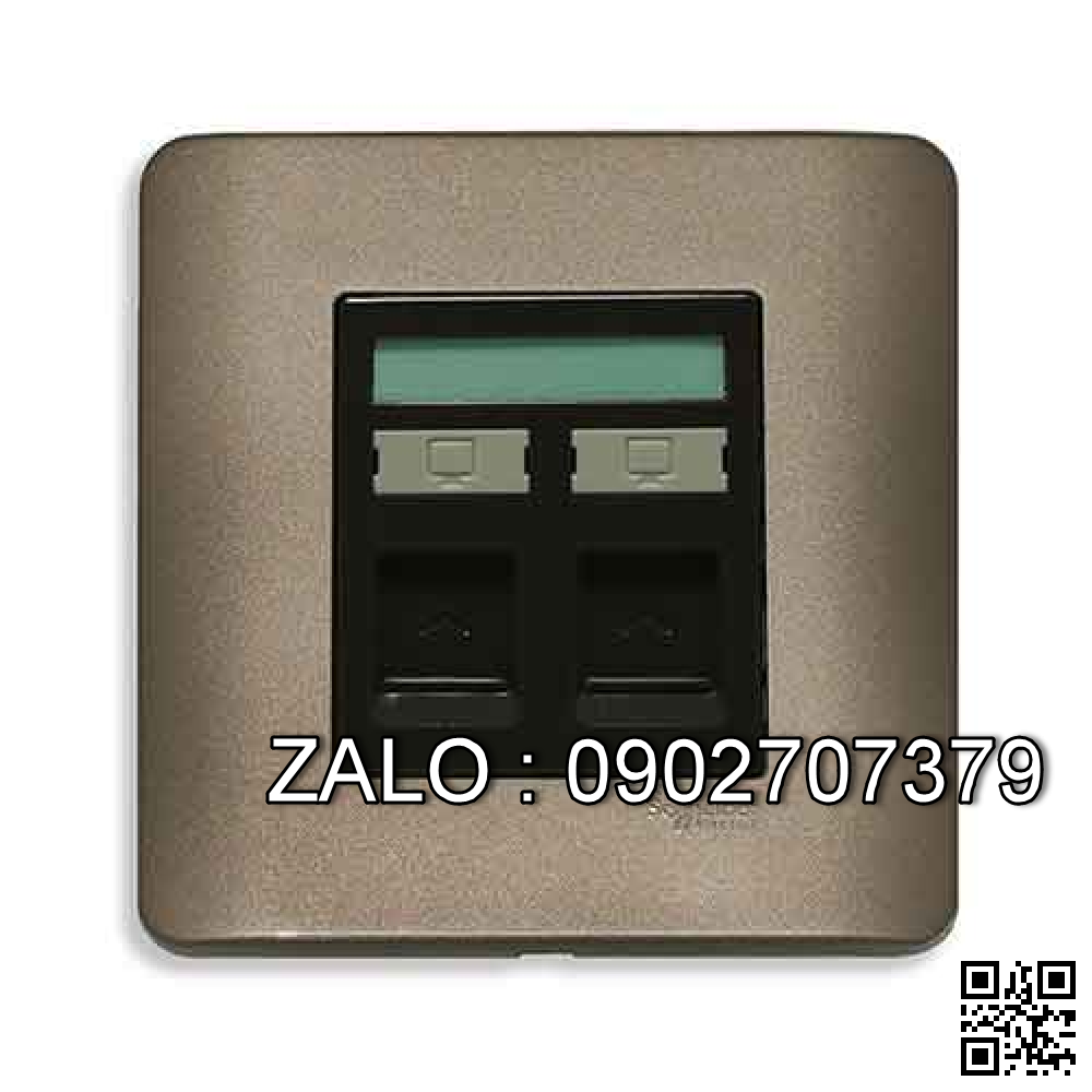 Bộ 2 ổ cắm mạng Clipsal / Schneider E8432RJS_6_SZ_G19