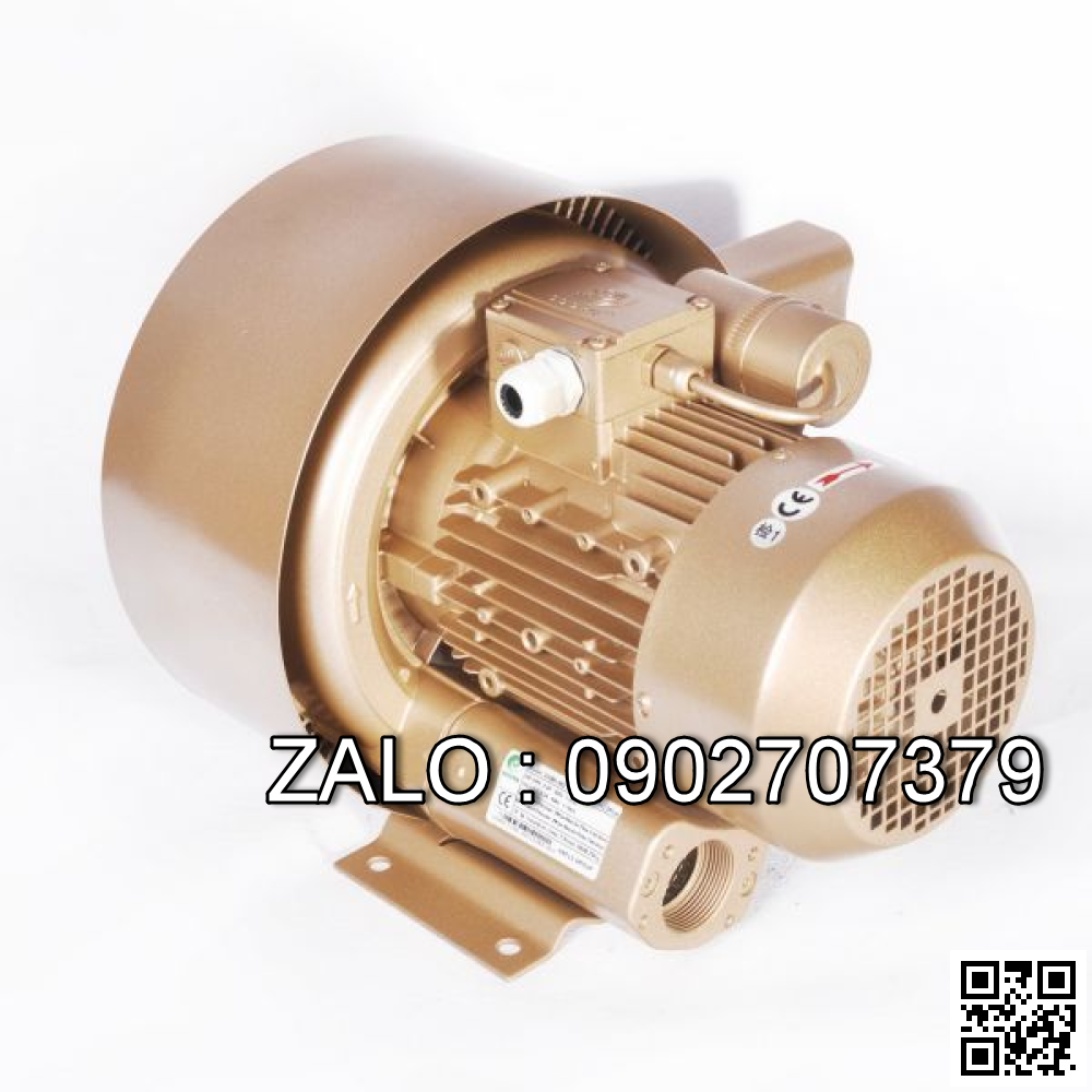 Quạt thổi khí Ring Blower