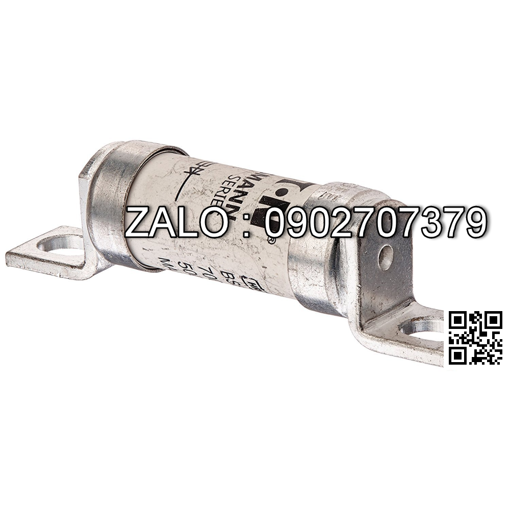 Fuse 63A690V phi 16*47*76mm Cau chi su Fuse 63FE, 63A/690V phi 16*47*77mm, co past hai dau, NSX: BUSSMANN MADE IN INDIA