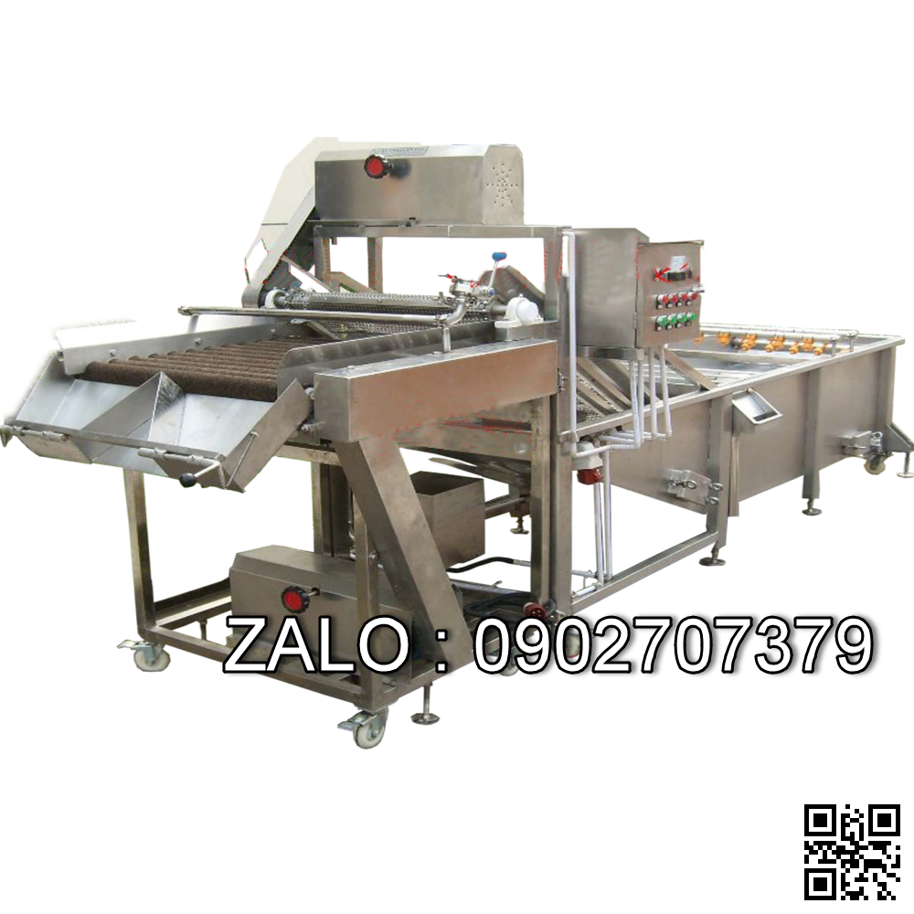 MÁY RỬA QUẢ DẠNG CON LĂN BÀN CHẢI P-QXL03