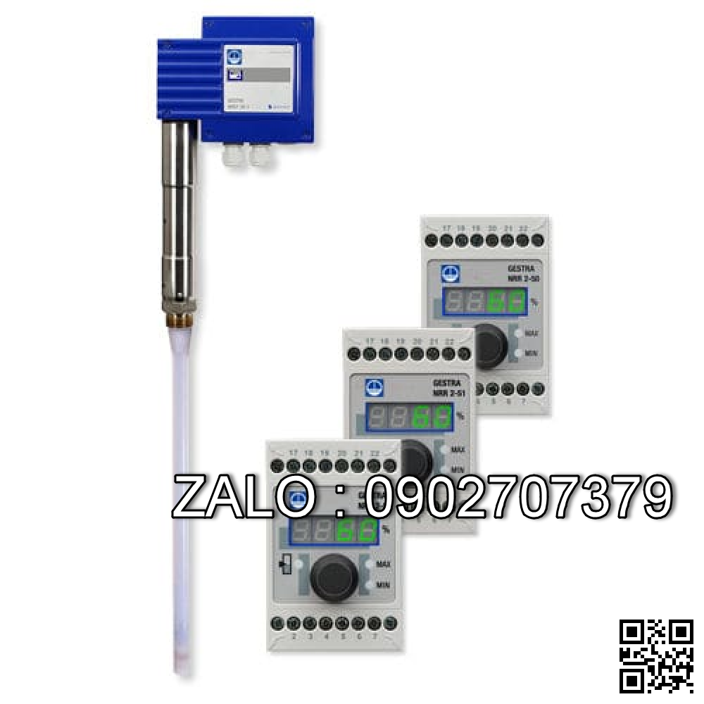 Dau do muc GESTRA NRGT 26-1,FLOWSERVE