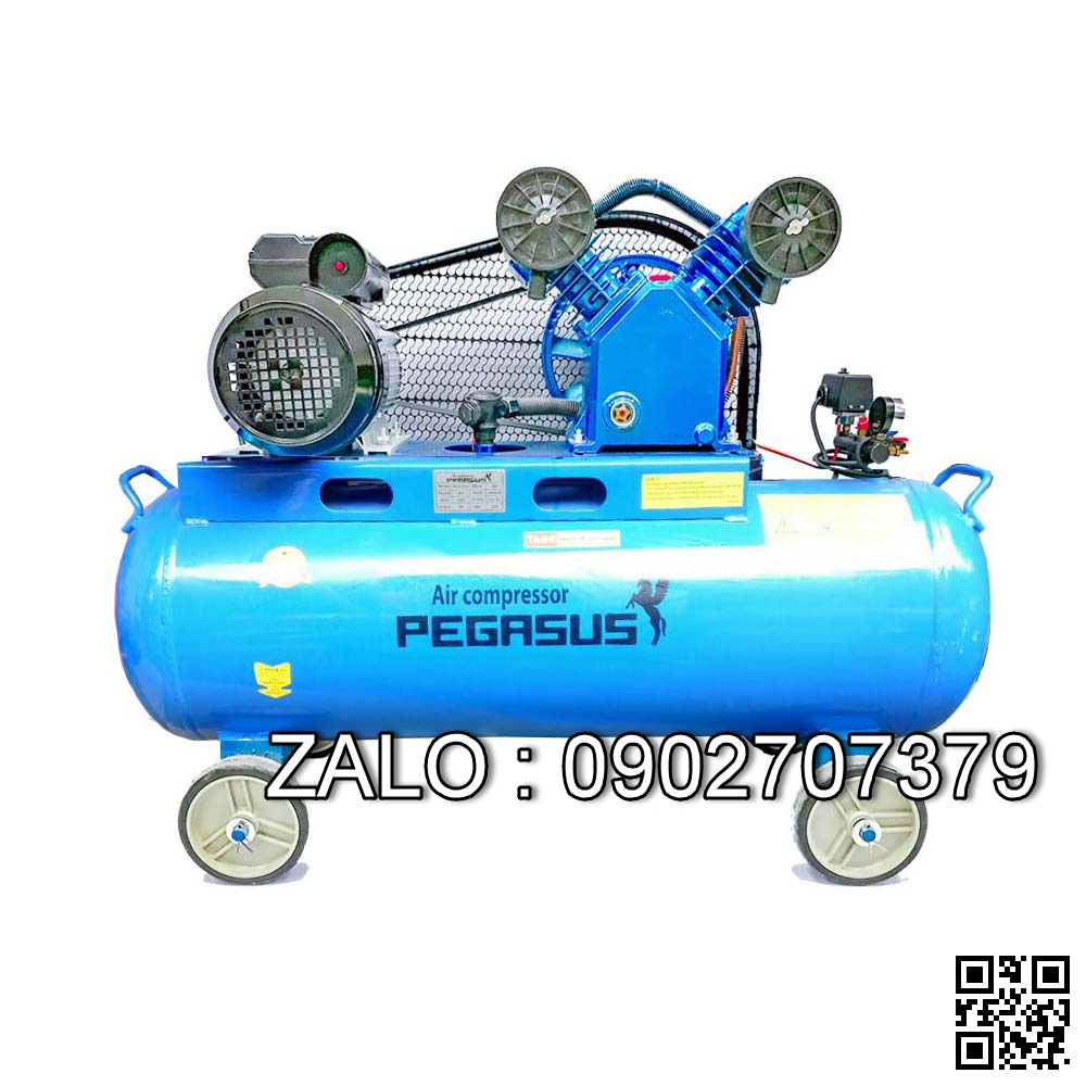 Máy nén khí đầu liền PEGASUS TM-0.11/8-F50