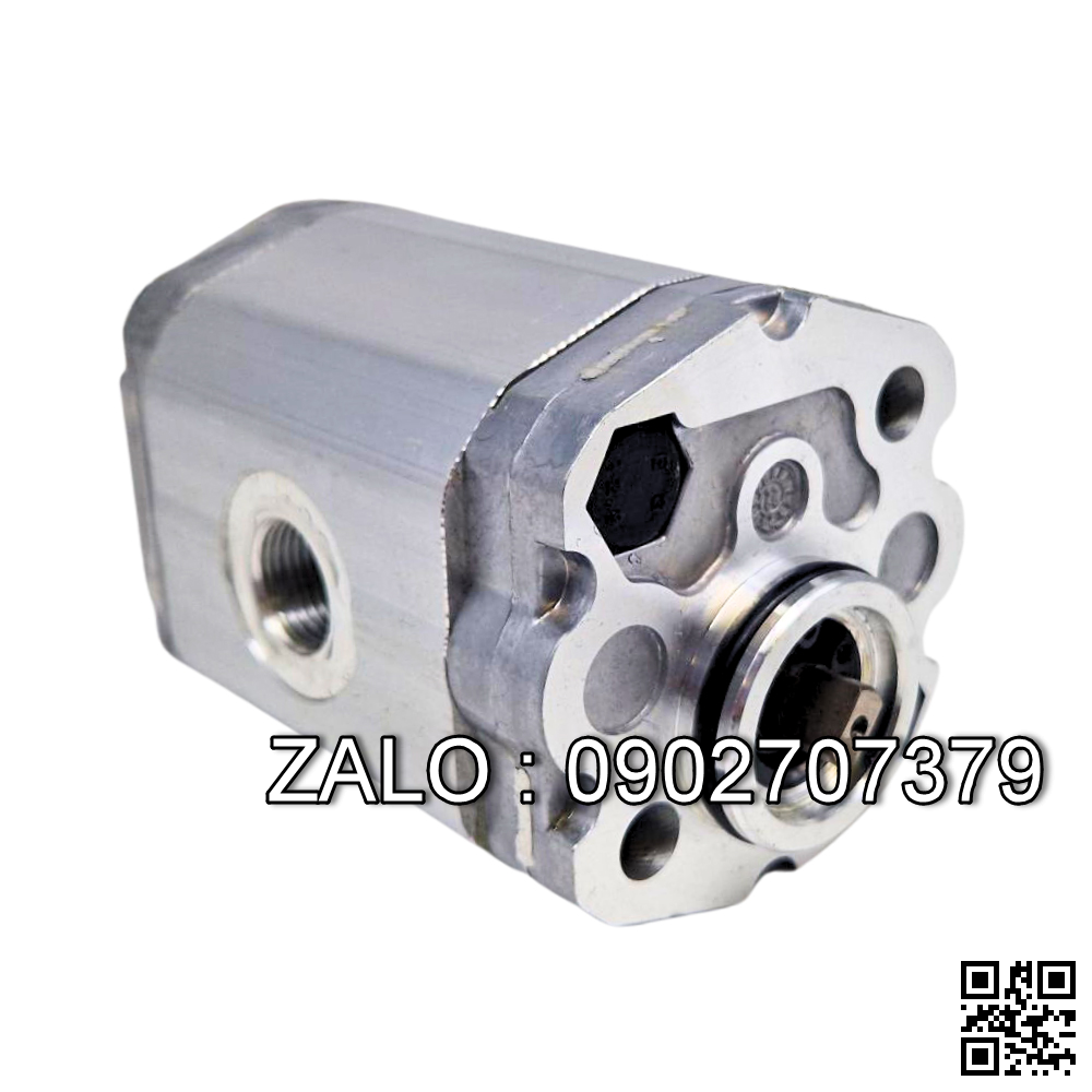Bơm thủy lực VE1-45F-A1 , 