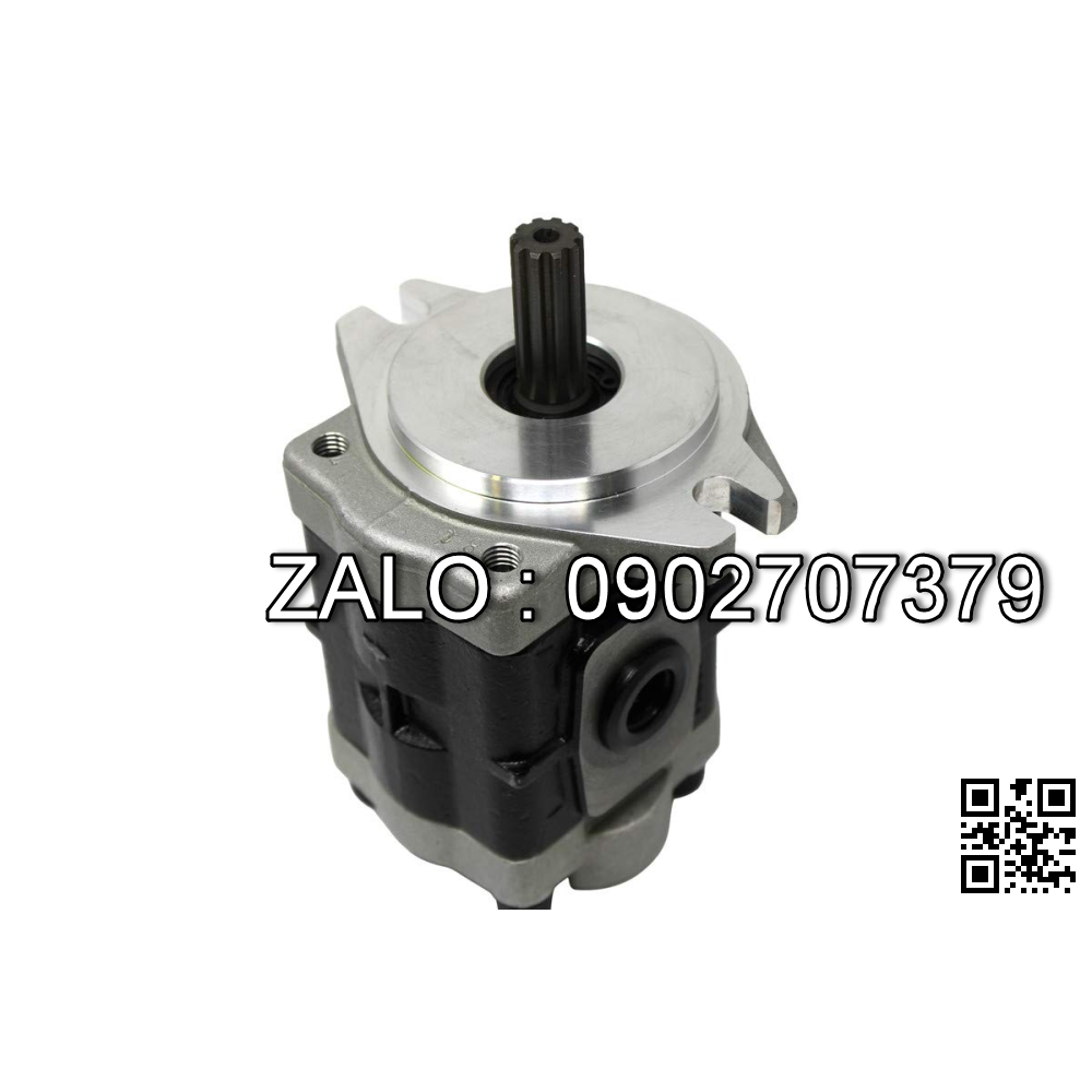 Bơm thủy lực GPC4-80-1H7F1-30-L