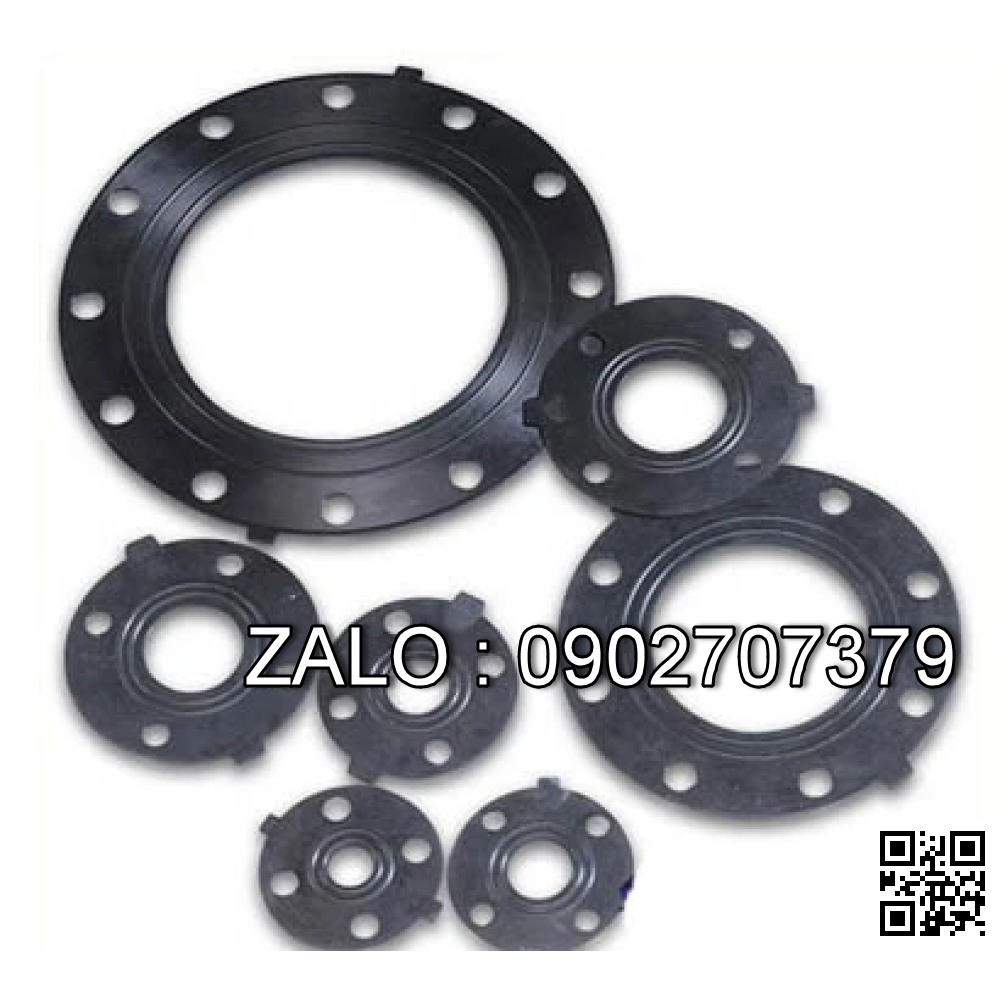 Joint mặt bích DN250