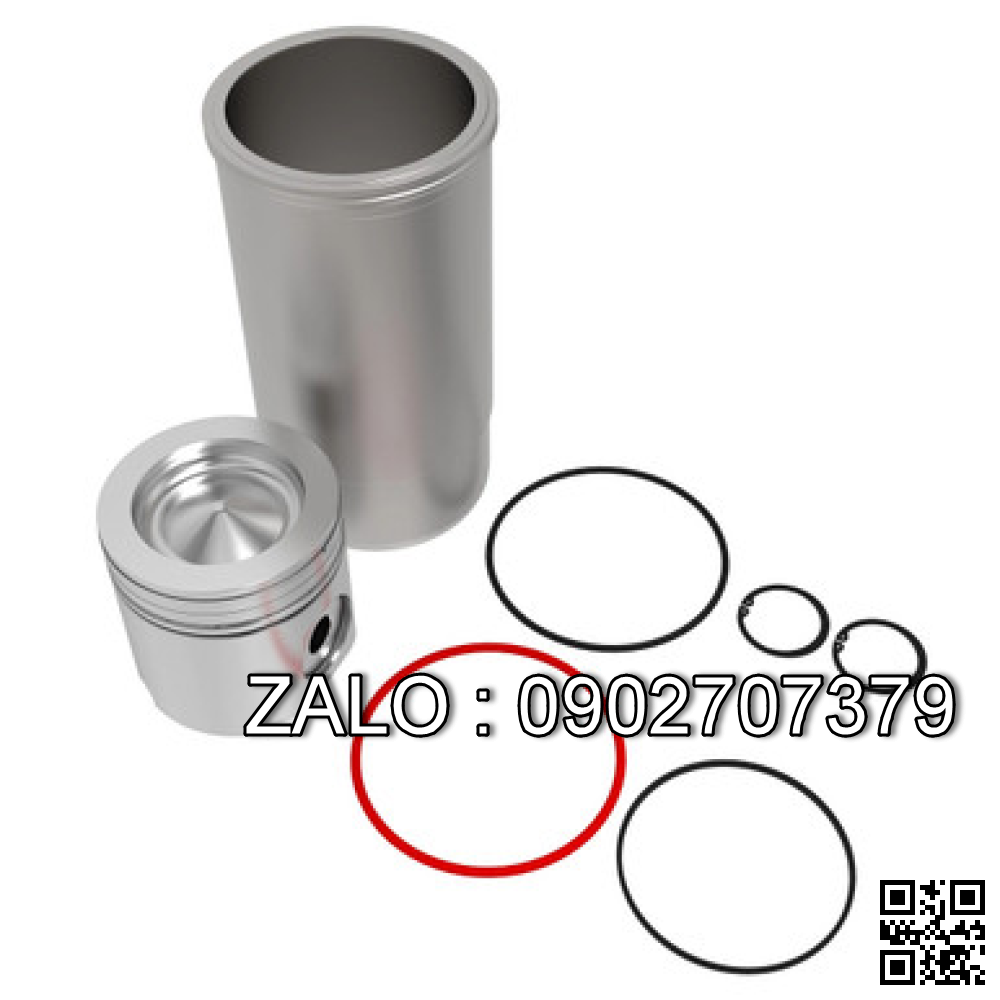 Bộ hơi động cơ FORD DOVER 110 -6AA , 6 CYL , 5947 CM3