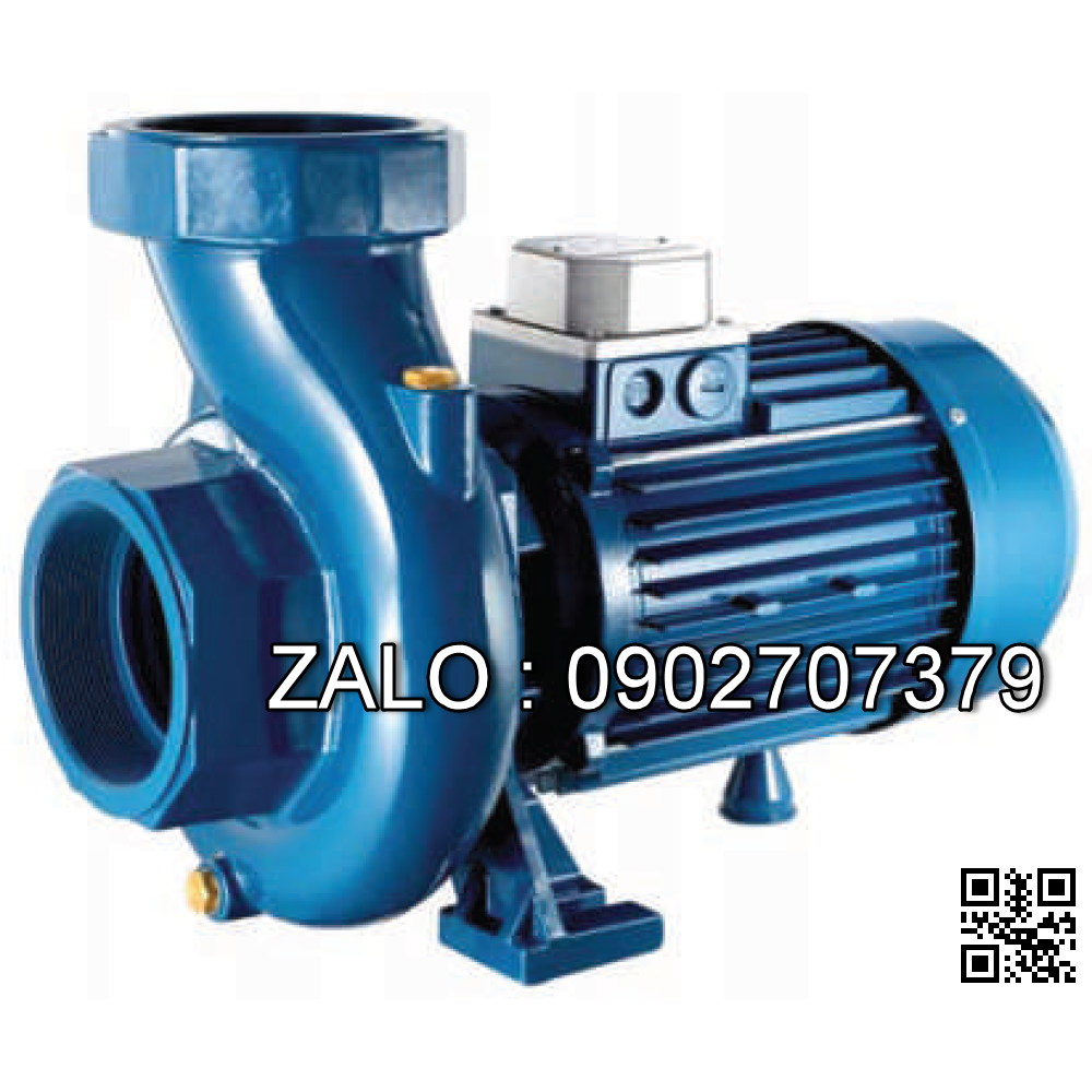 Máy bơm nước Pentax CST 450/3