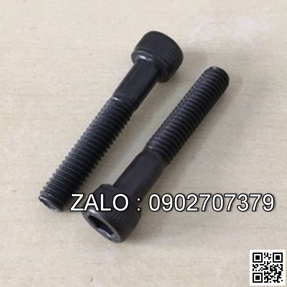 Bộ Bulong lục giác chìm đầu dẹt ren lửng thép đen M2.6x38