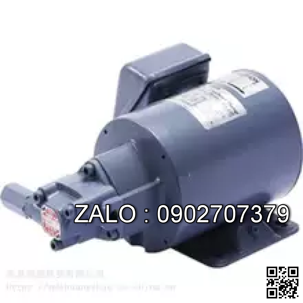 Bơm thủy lực YLC31A5