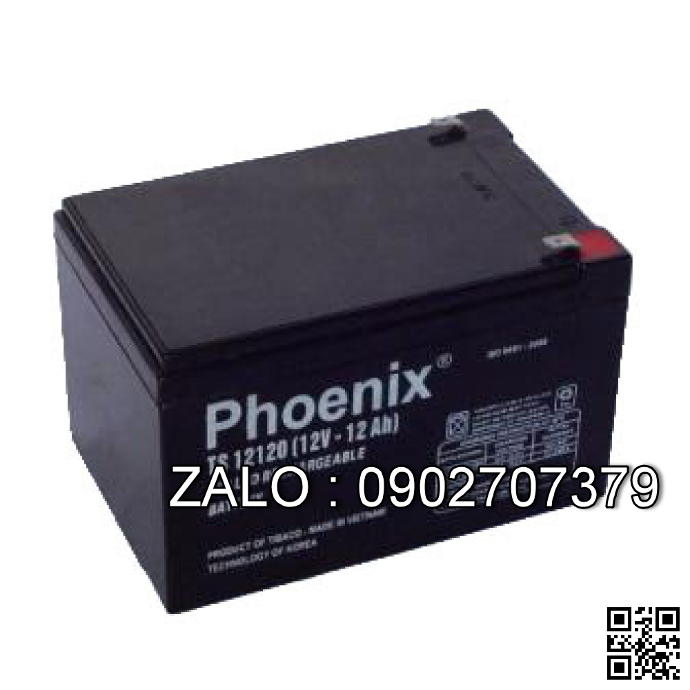 Bình Ắc Quy Phoenix TS 121000 12V-100 Ah 331*175*215*238mm