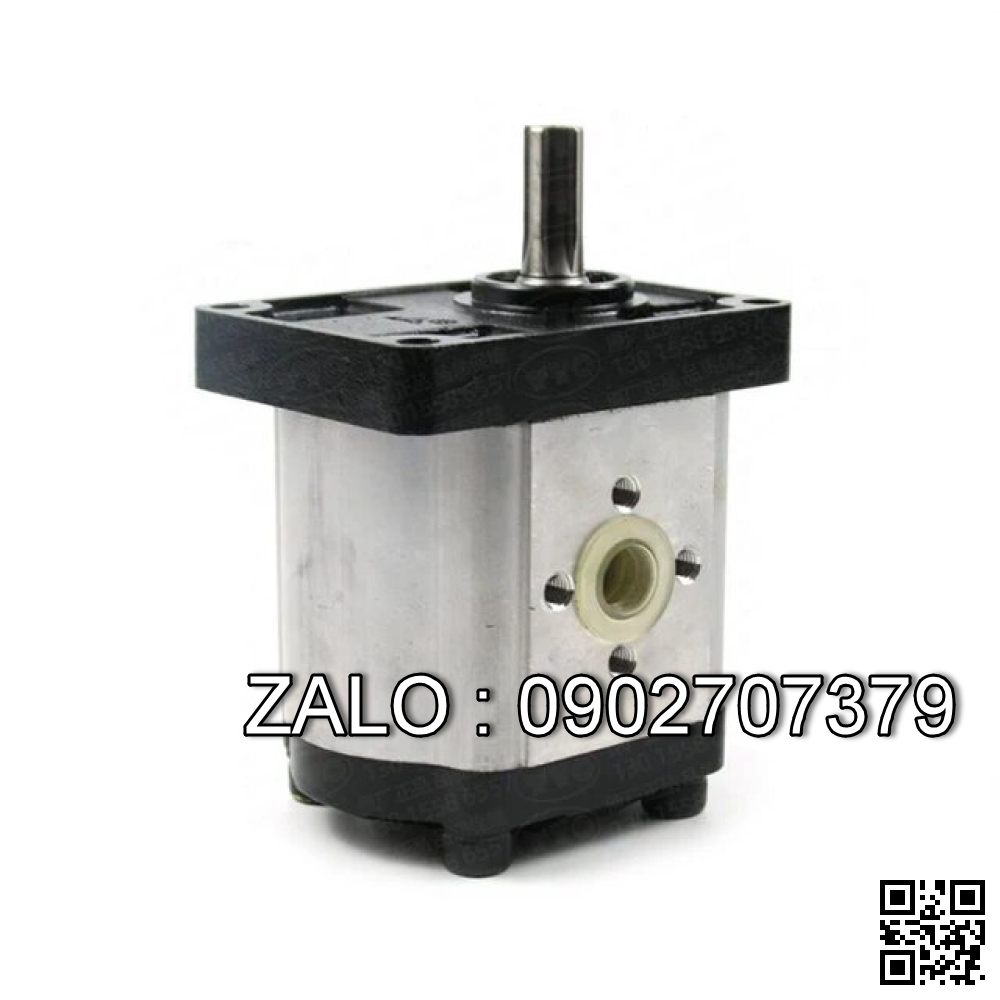 Bơm bánh răng CBN-F310 Lưu lượng: 10 ml/v Áp suất 20-25 MPa