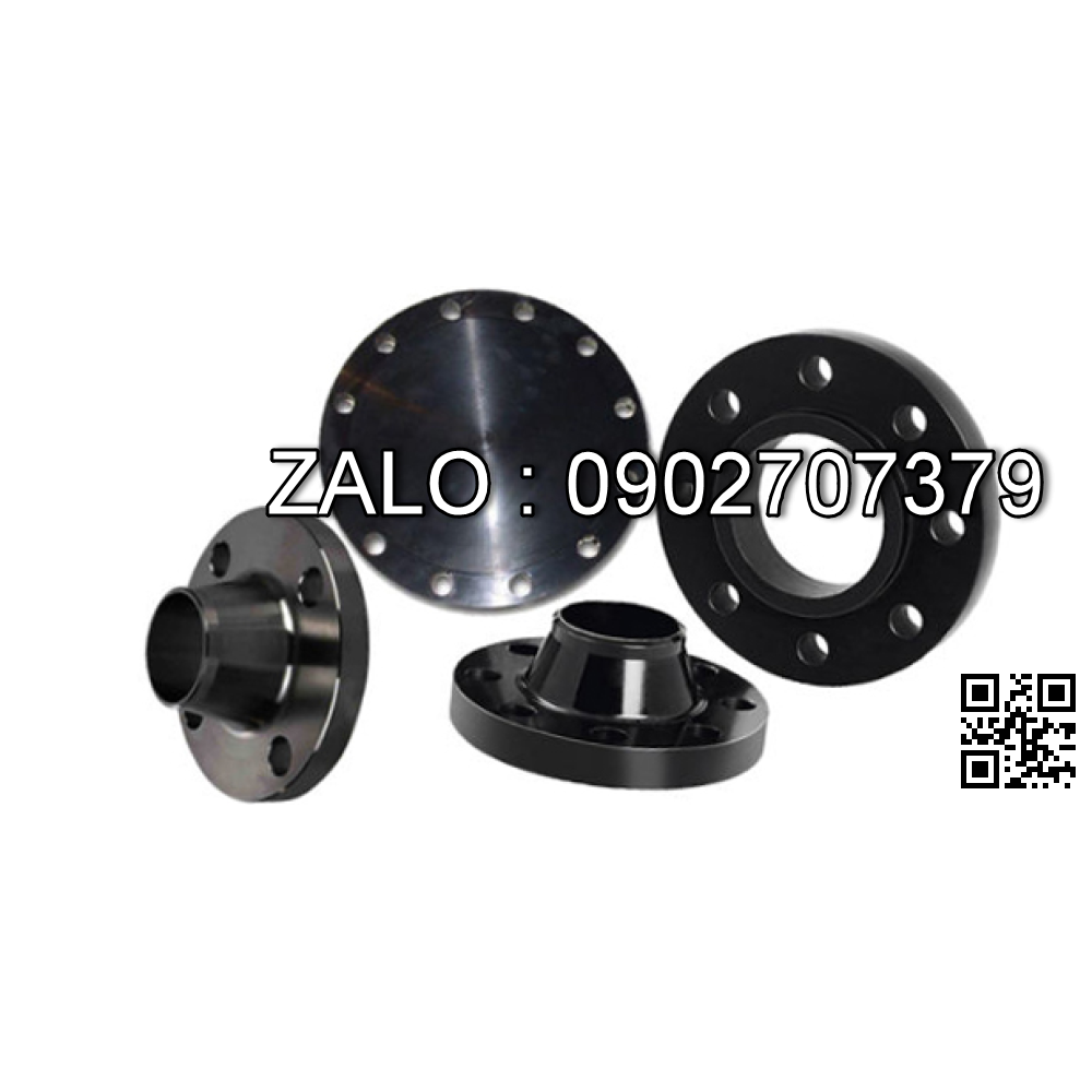 Mặt bích Thép carbon PN16 DN22