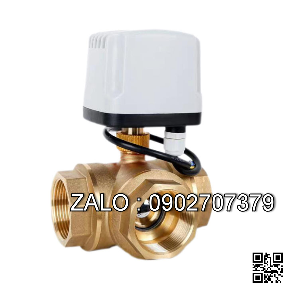 Van bi điện điều khiển thau không ren 2 ngã DN40
