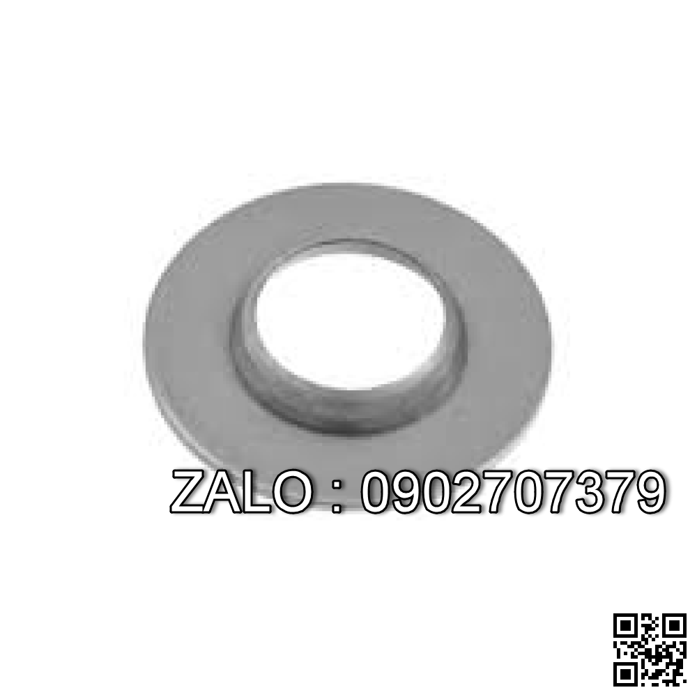Valve Spring 13203-50K00