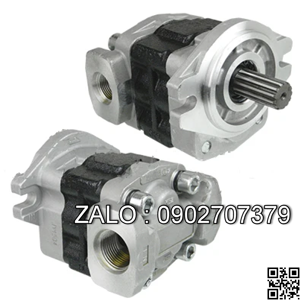 Bơm thủy lực NICHIYU FB10~18/AC70 31870-16990