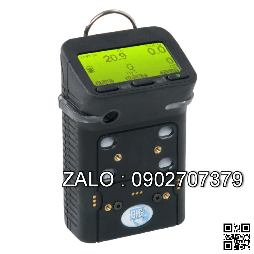 Máy đo khí đa năng GFG G450 (CH4, O2, H2S, CO)