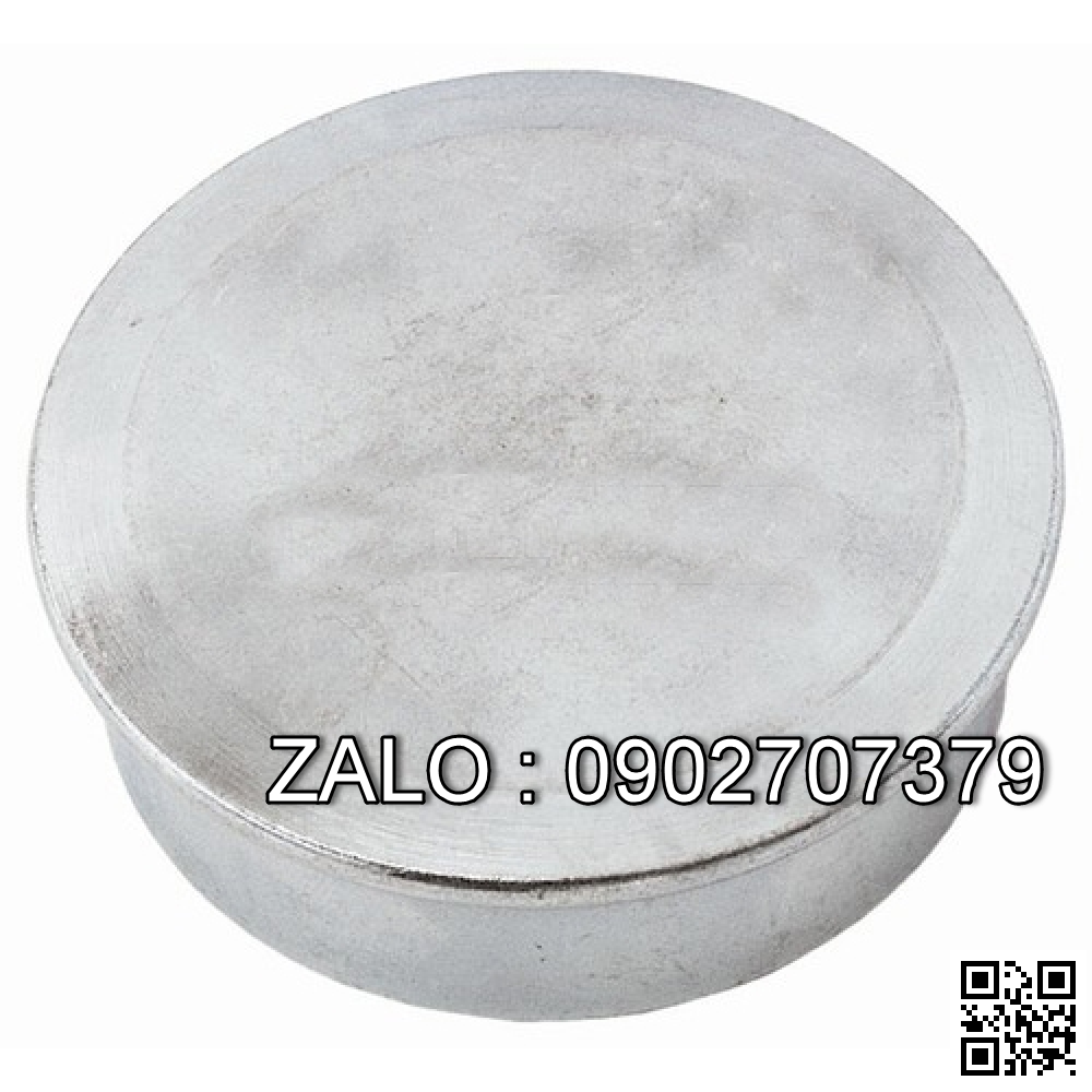 HUB CAP 91243-10900