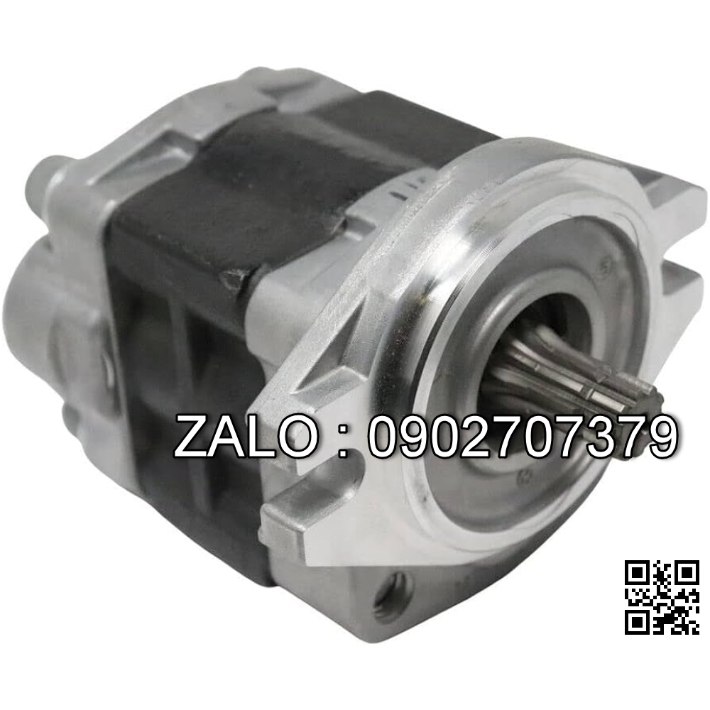 HYDRAULIC PUMP （TCM) TCM FG20-30N5/H20 133A7-10201