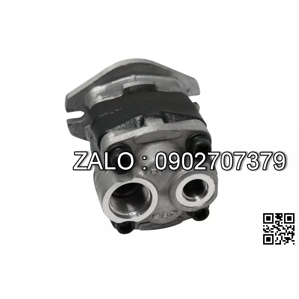 HYDRAULIC PUMP （TCM) TCM FD20-30Z5/C240PKJ 117M7-10321