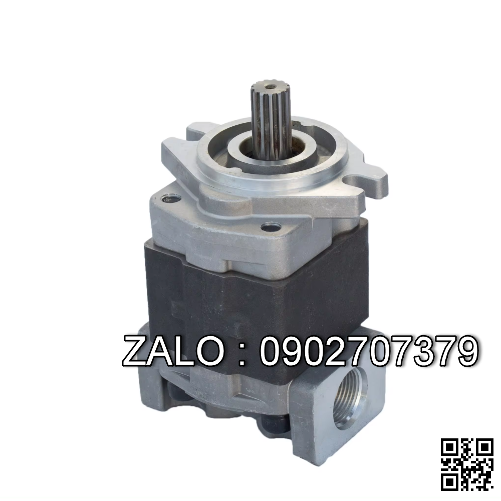 Bơm thủy lực F11-SQP4-42-1D-18