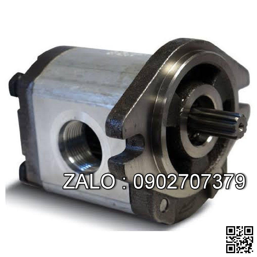 Bơm thủy lực AS2308-02-220