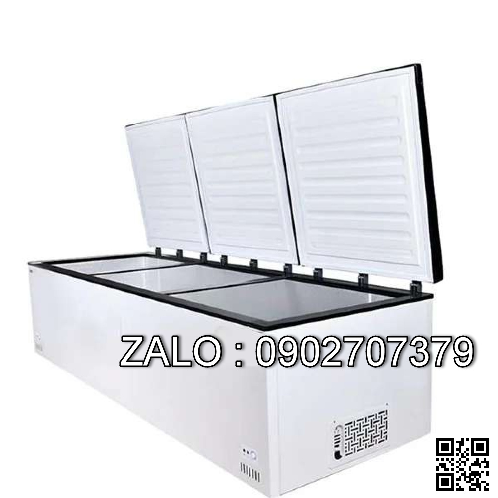 Tủ đông nằm ngang BD-70-1