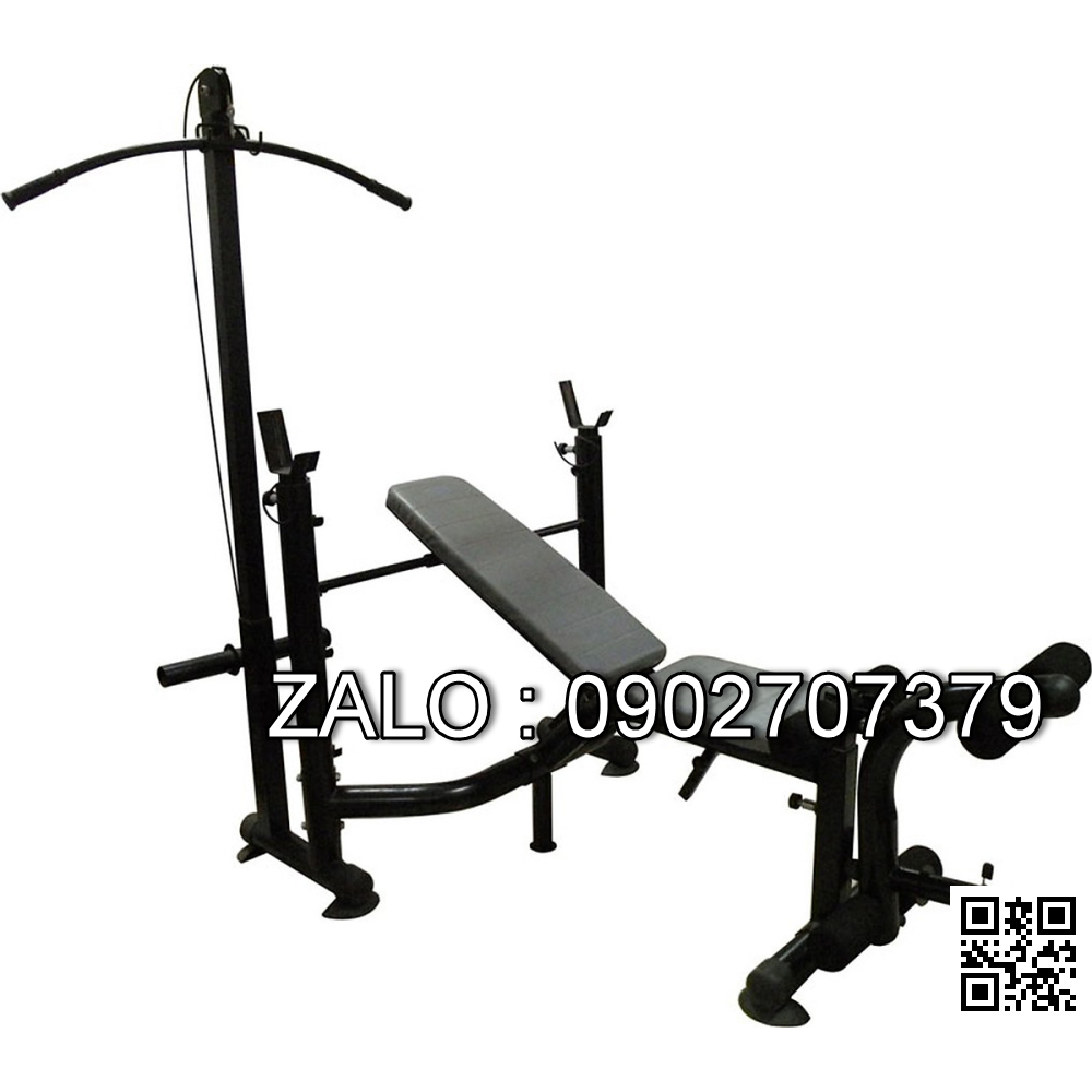 Giàn tạ nằm và đứng có xô Life 408