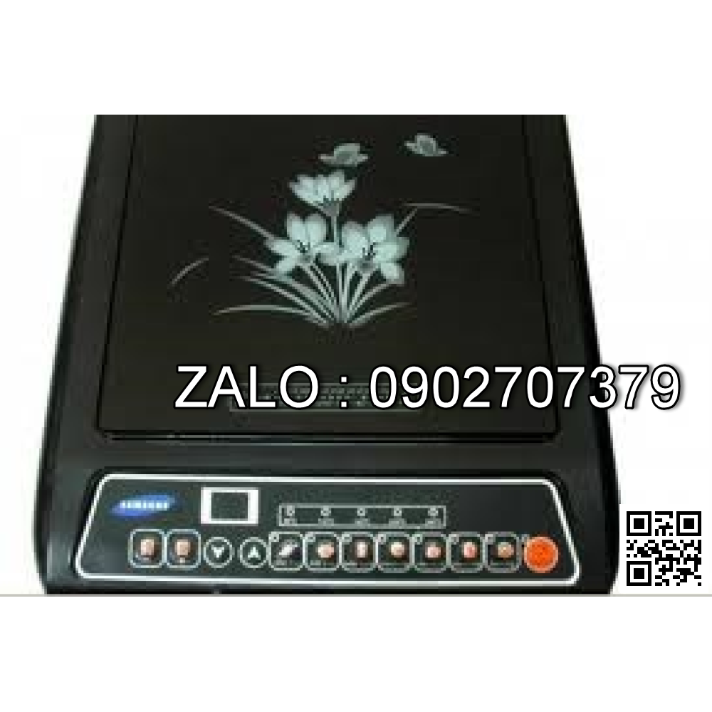 Bếp từ Philip P-B31