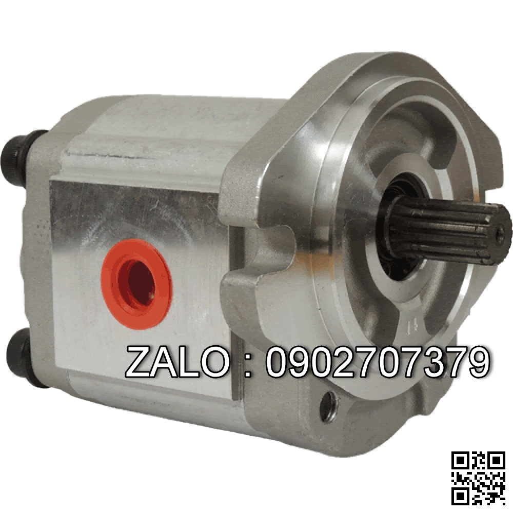 Bơm thủy lực RGP-F306R