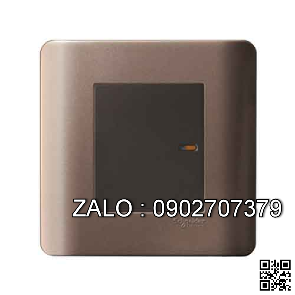 Bộ công tắc trung gian Clipsal / Schneider E8431_I_G19