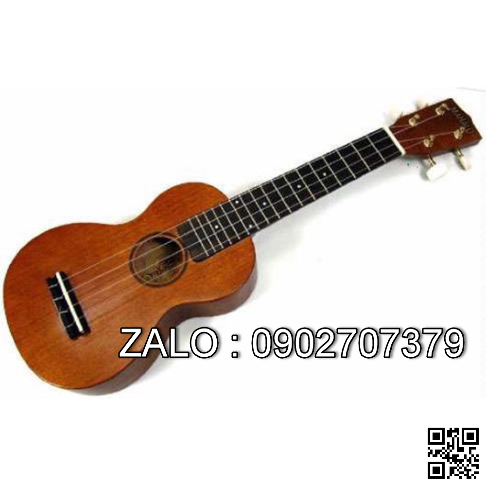 Đàn Guitar Ekulele