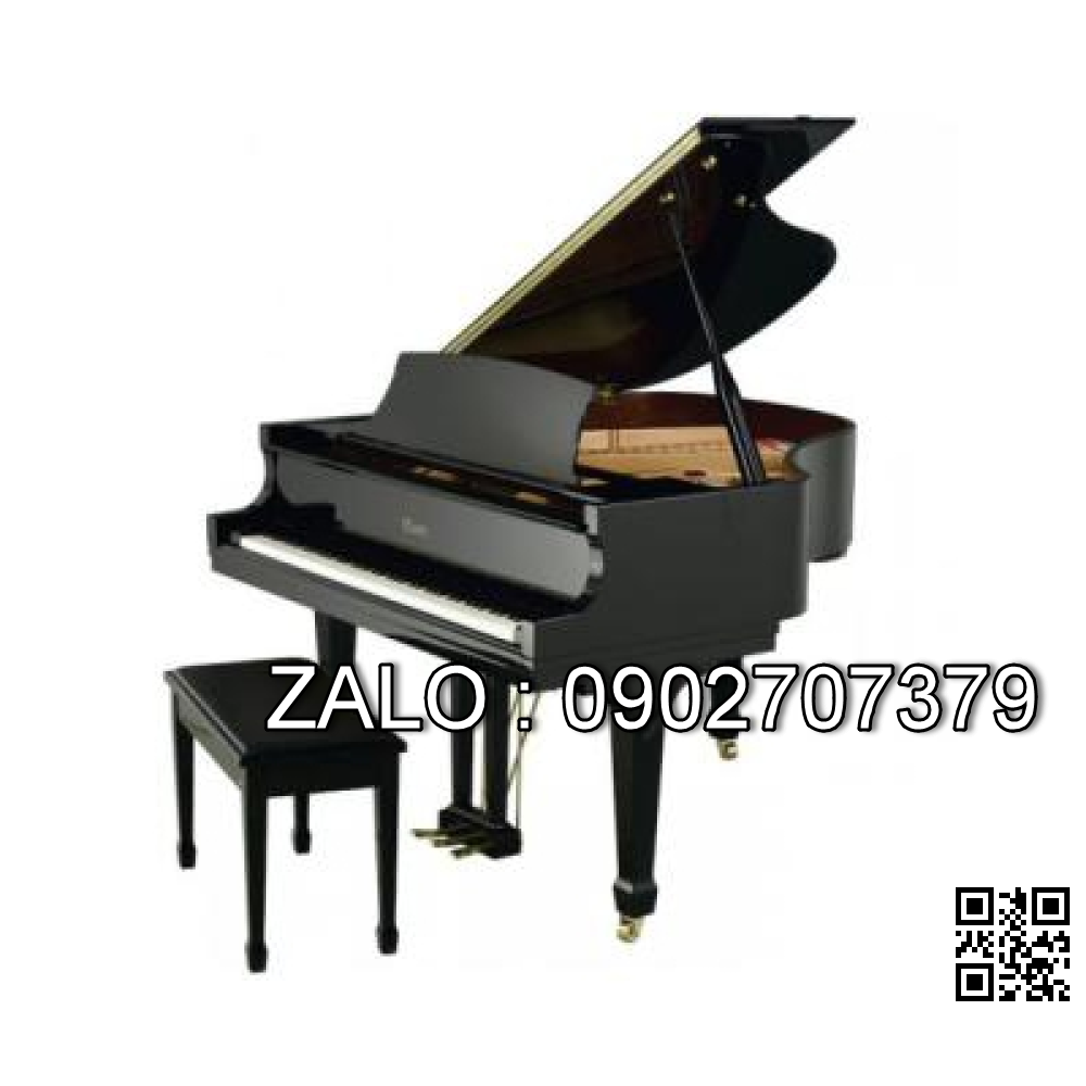Đàn Piano Brandnew Essex EGP-155T
