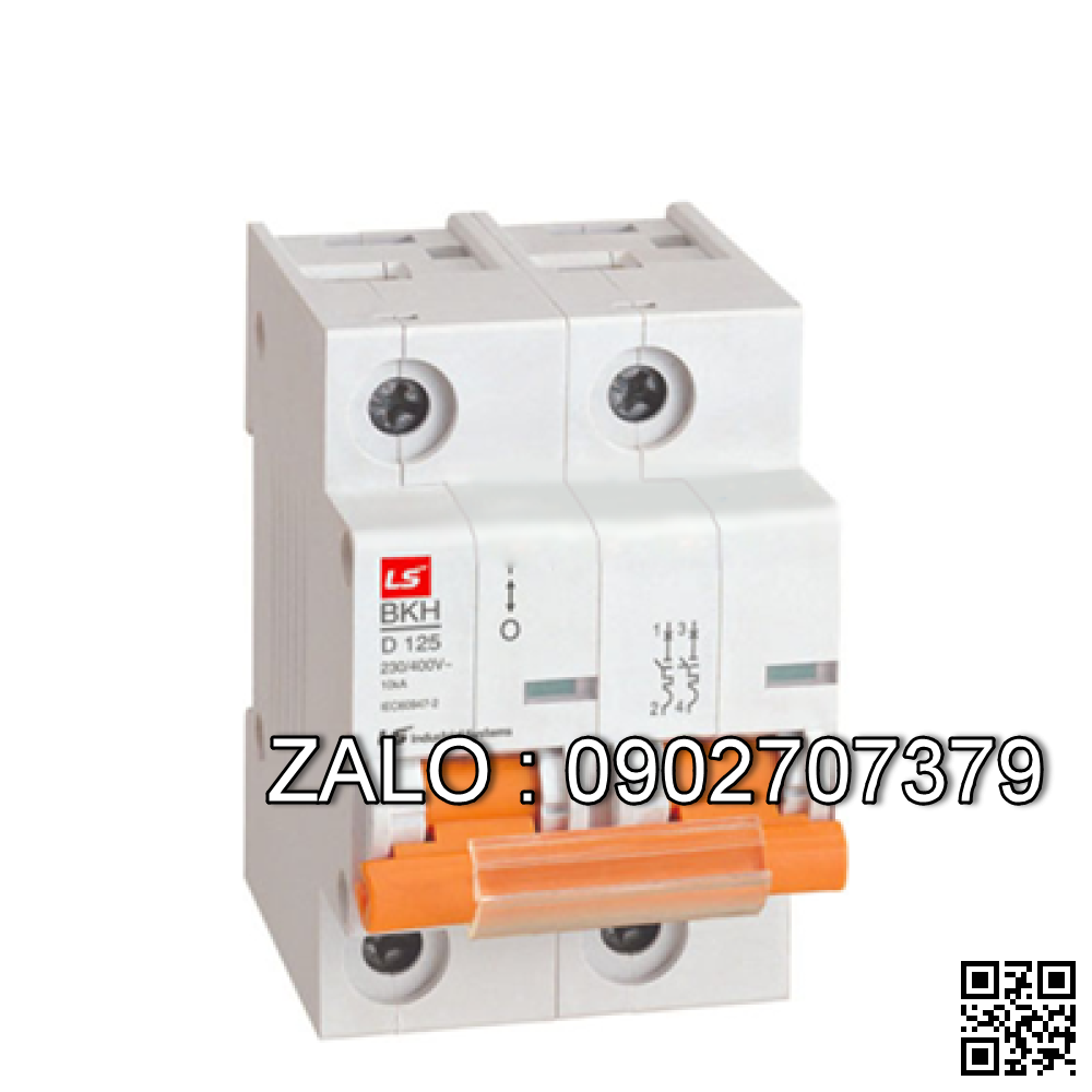 MCB LS BKH 125A 10KA 2P