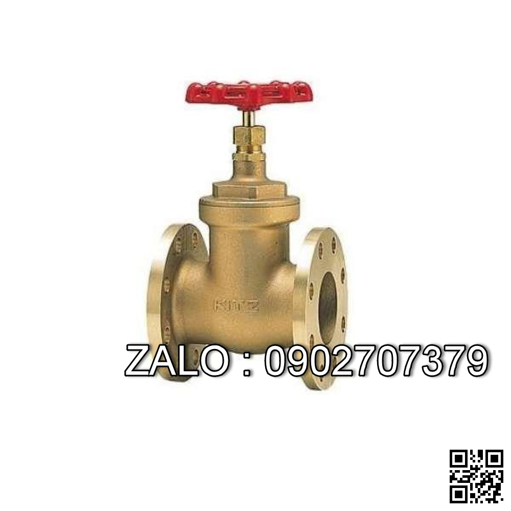 Van cổng đồng JIS10K DN300